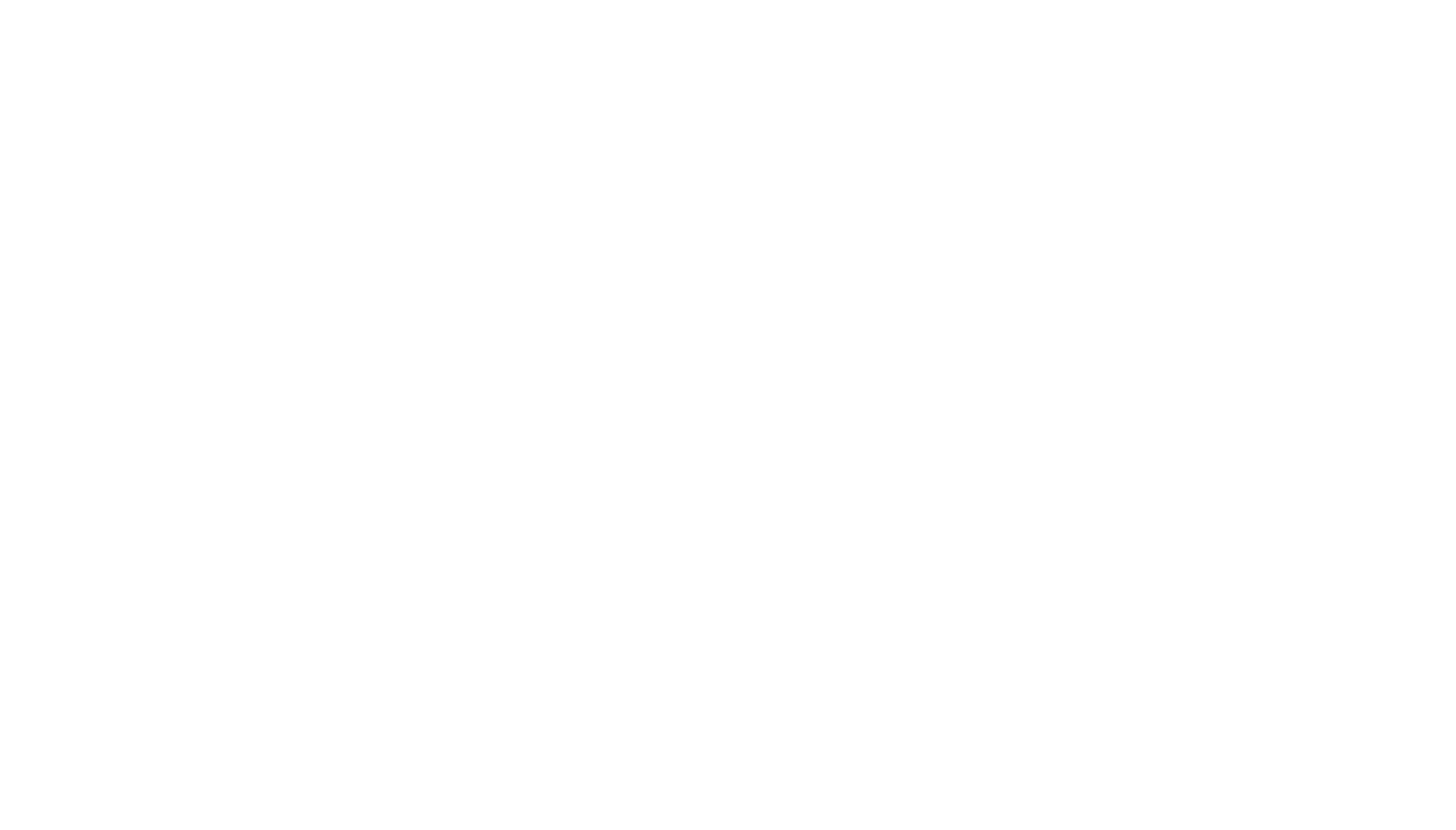 PFL MENA